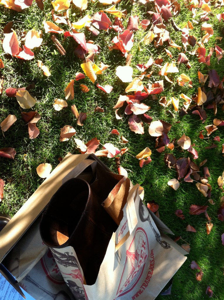 Leather boots in a paper bag beside fallen leaves