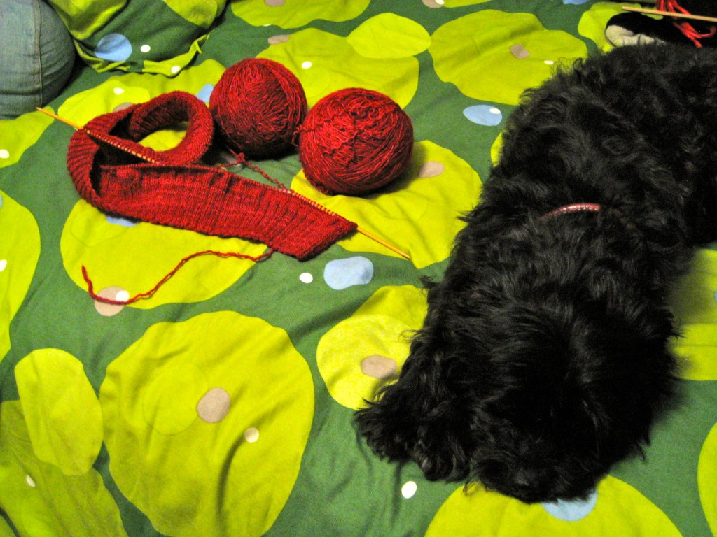 Red knitting on a bed with two balls of yarn and a black dog.
