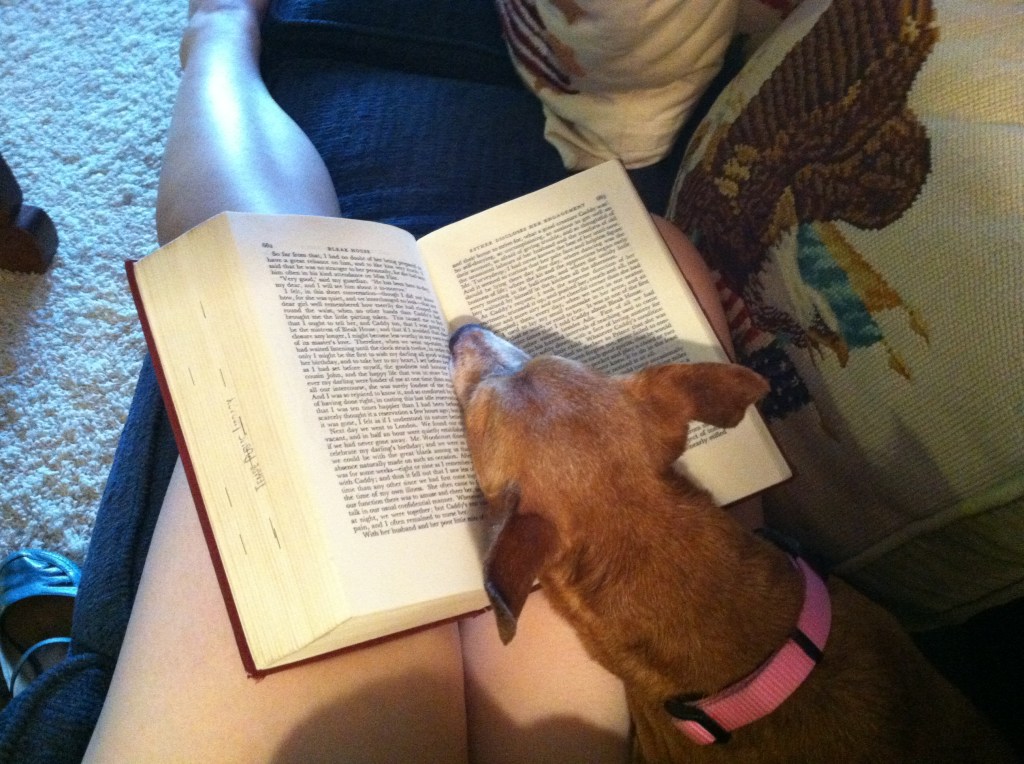 Small brown dog asleep on a book