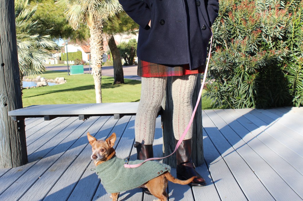 Dog and girl in coats on a deck.