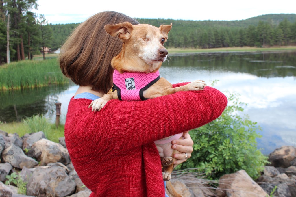 Girl carrying a smal dog.