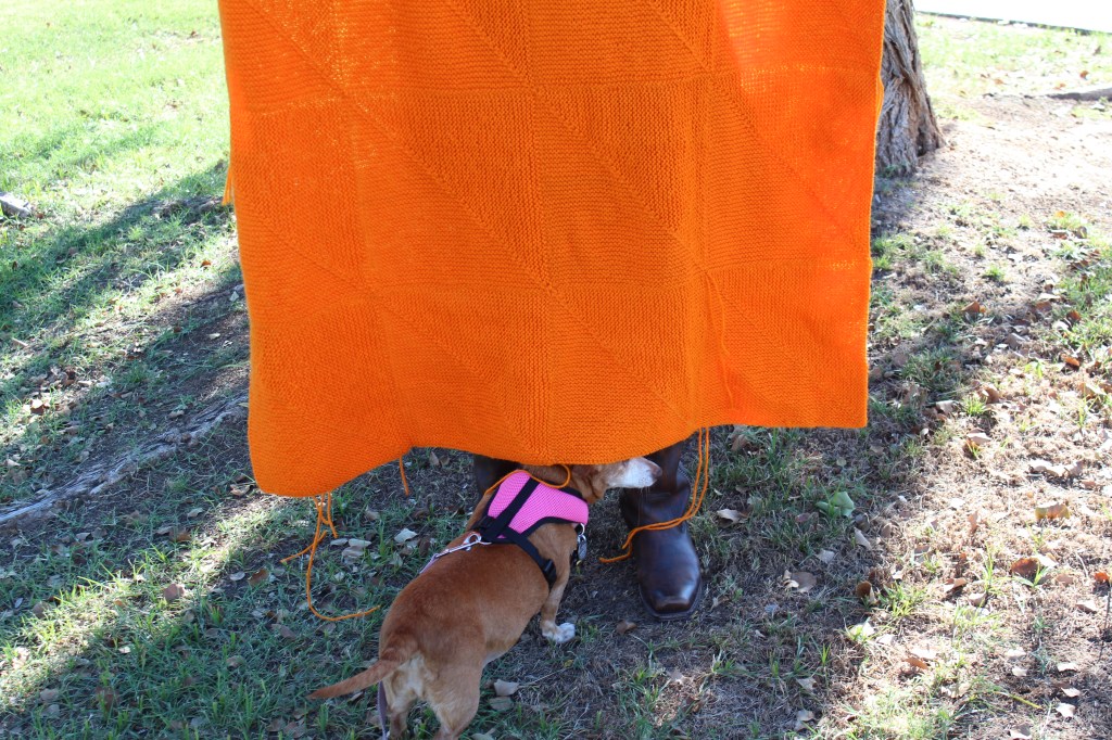 Small brown dog under an orange blanket