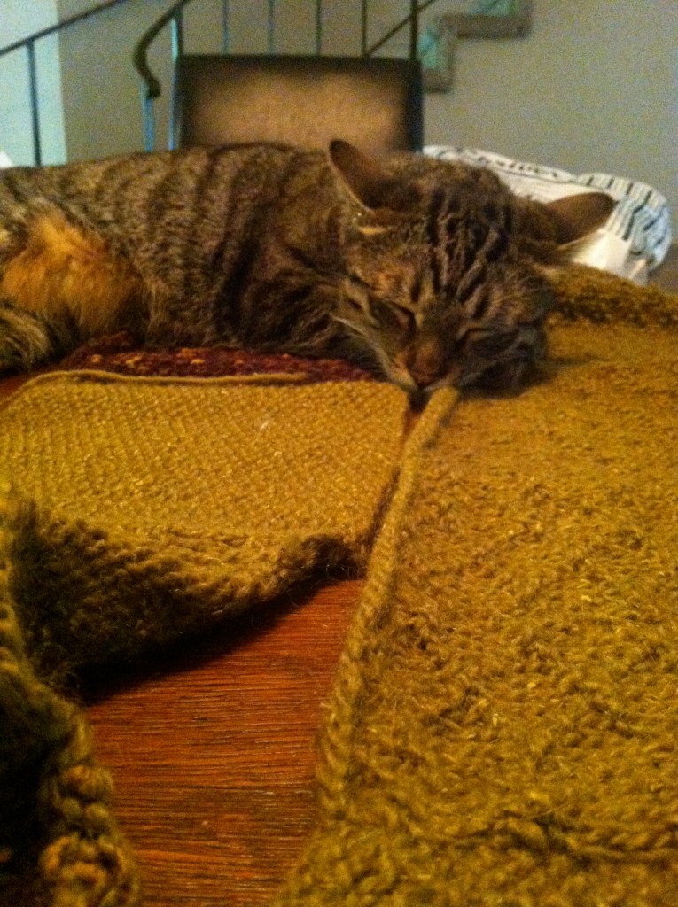 Tabby cat asleep on strips of knitted fabric