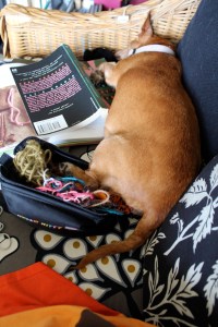 Dog asleep with her foot in a sewing bag