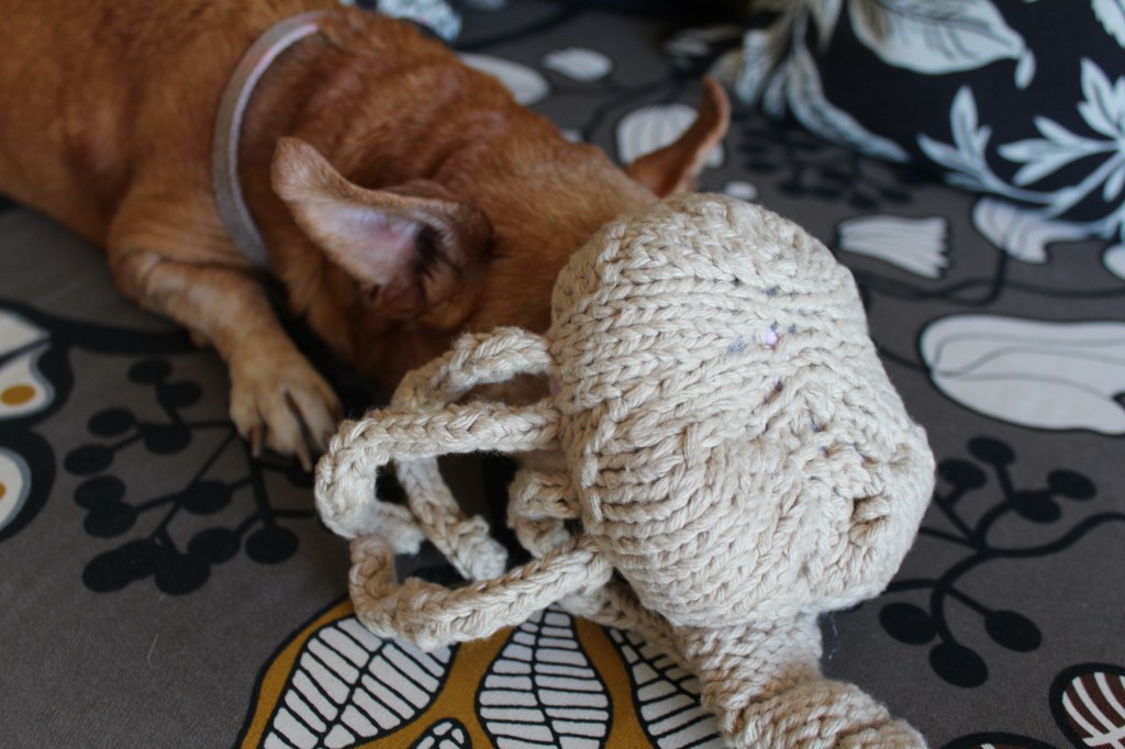 No animals were harmed in the making of this alien, but one small dog was reminded that her owner is crazy.