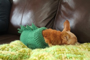 Melba in her Dogzilla sweater