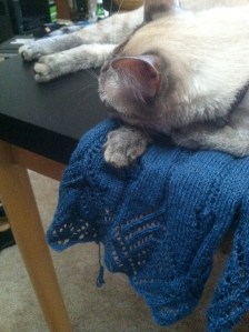 White cat asleep on a blue lace shawl