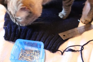 White cat inspecting blue knitting