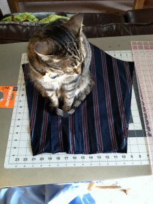 Tabby cat sitting on striped fabric