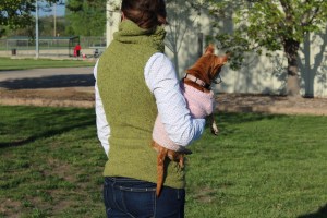 Woman in a green knitted vest holding a chiweenie in a pink sweater