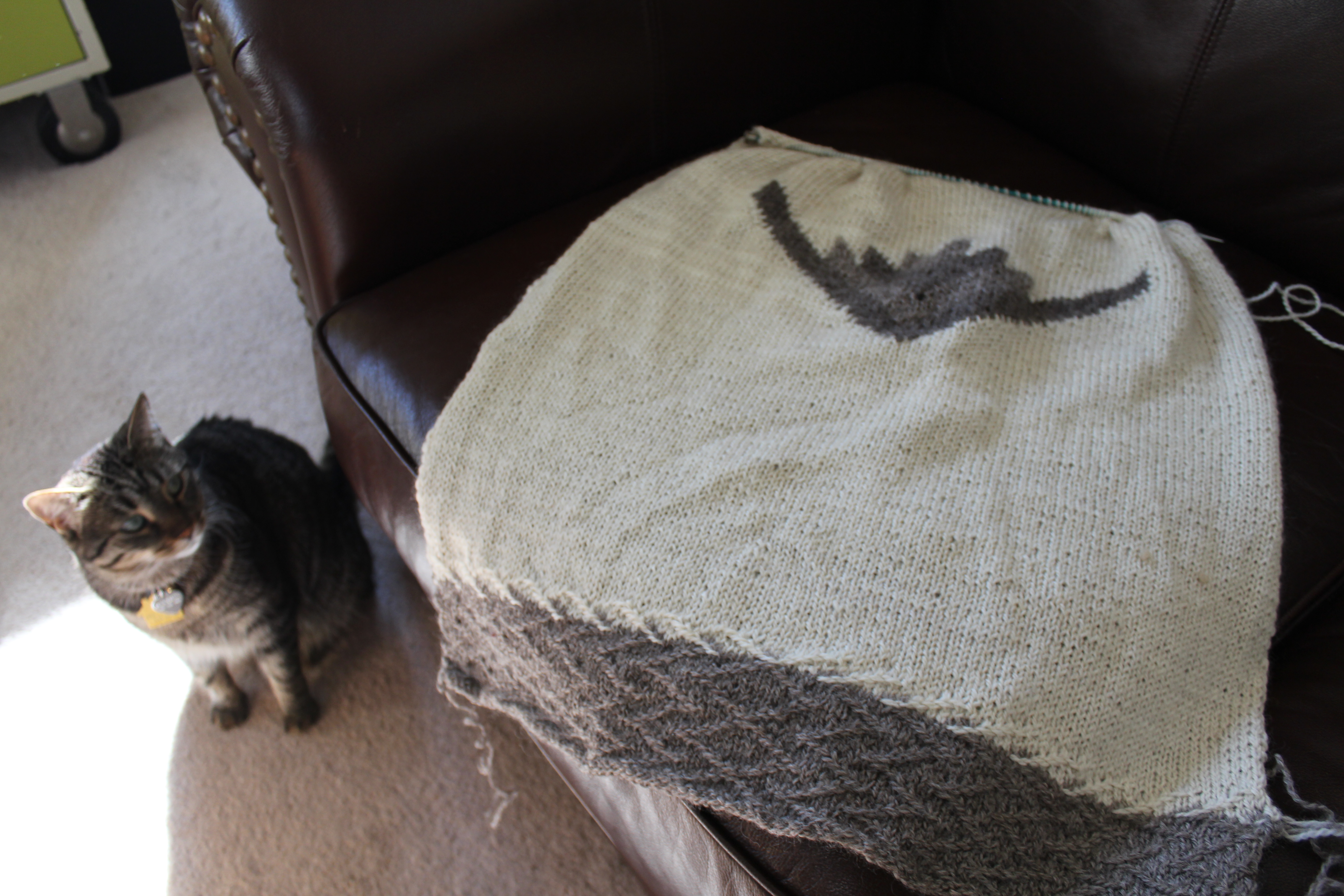 cat looking at knitting spread out on a couch