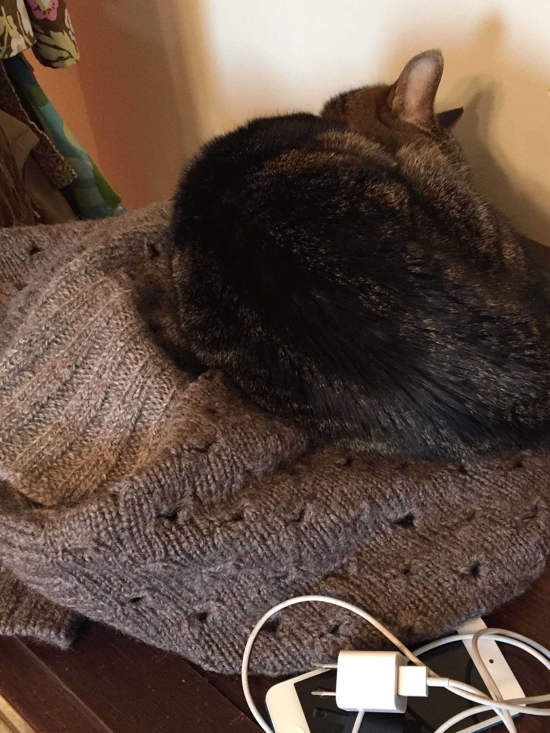Tabby cat asleep on a handknit sweater