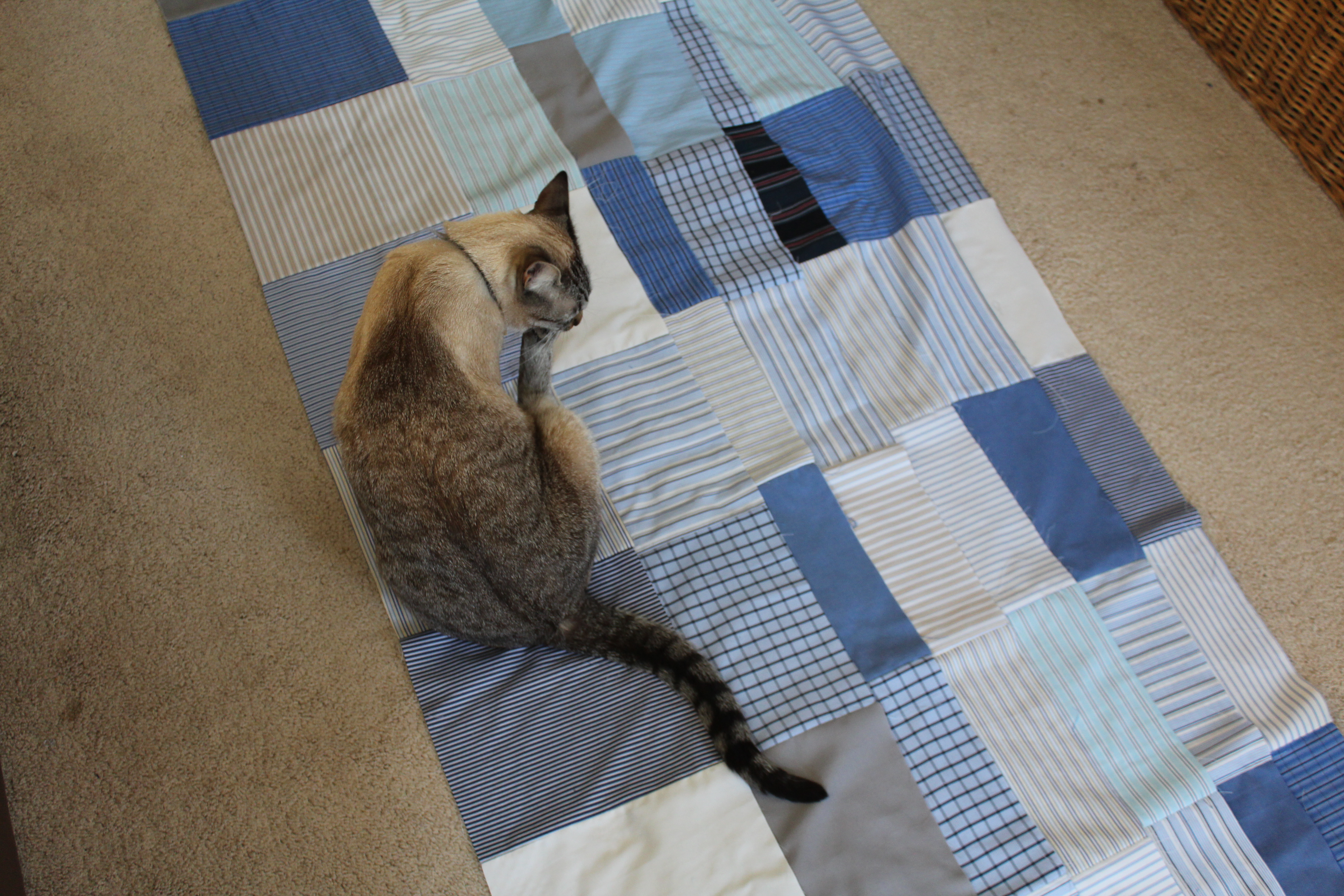 Cream colored cat cleaning her toes on a quilt in progress