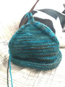 Little Sprout Baby Hat knit in Yarns of Rhichard Devreize Peppino in the variegated teal colorway Farther