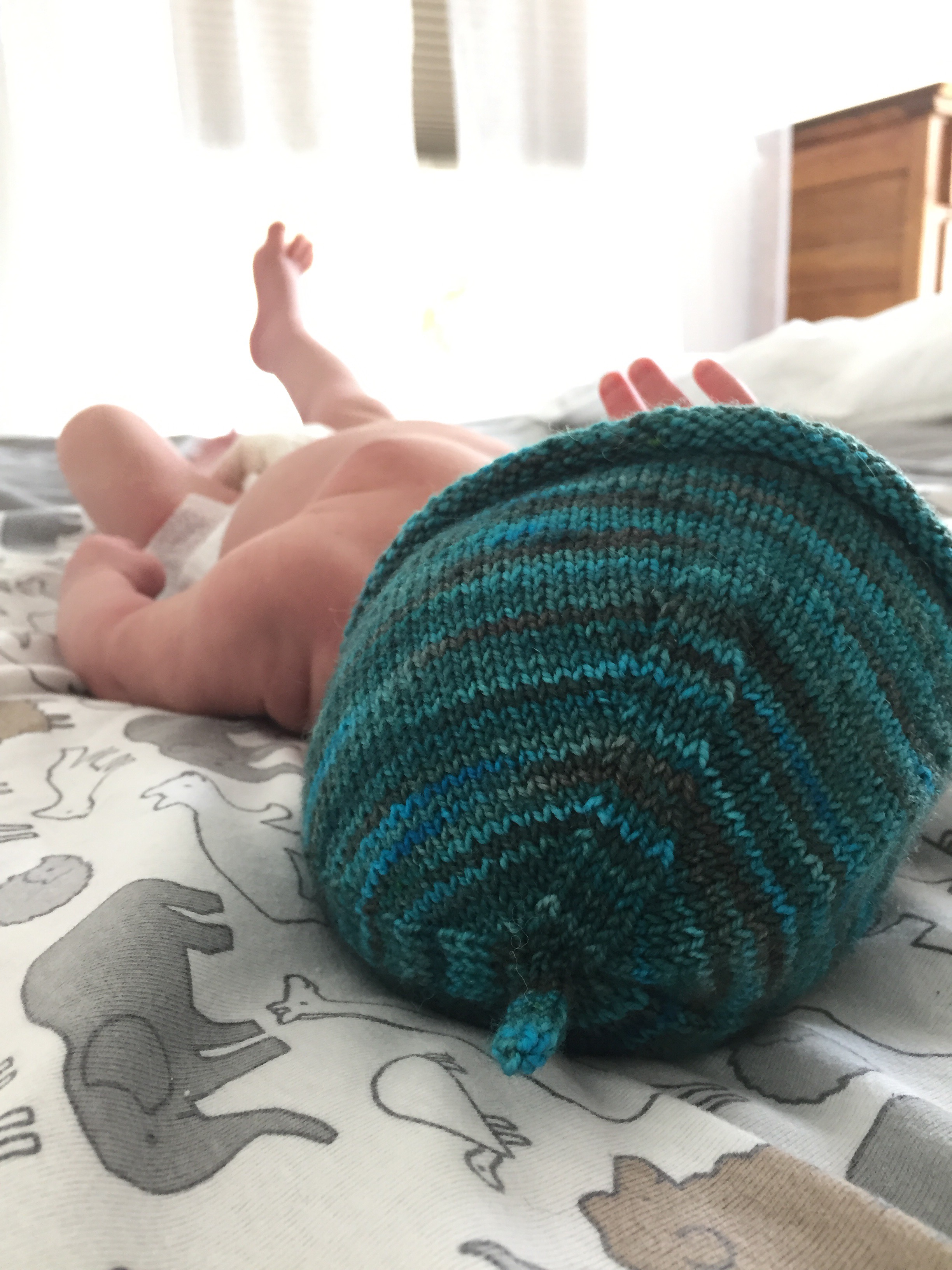 Baby wearing a Tiny Sprout Baby Hat in Yarns of Rhichard Devrieze Peppino 