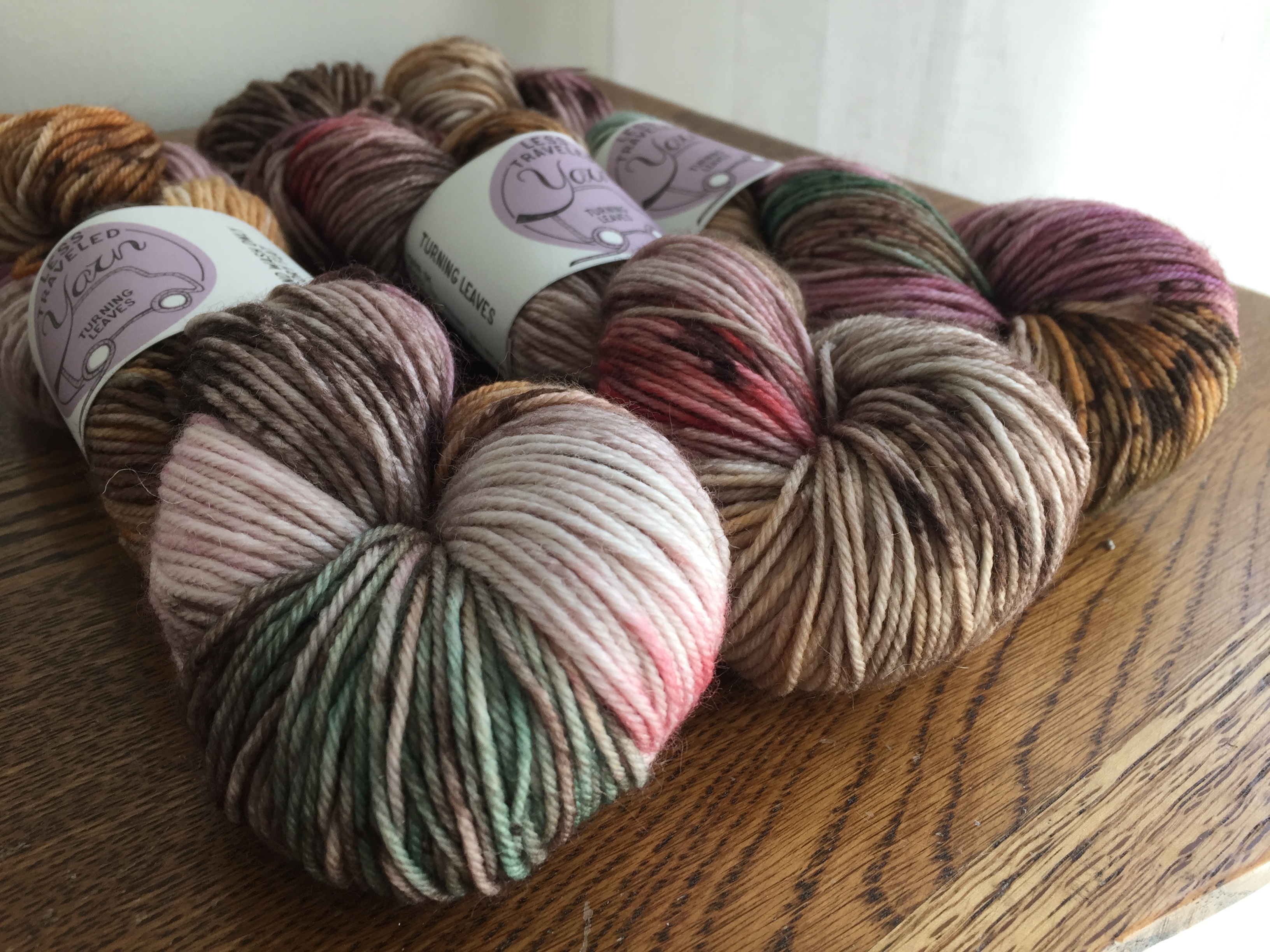 Three skeins of DK weight Less Traveled Yarn in Turning Leaves colorway