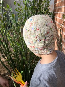 Small boy seen from behind wearing a Kryptonite hat in white speckled with green, red, and blue in front of lady slipper plants