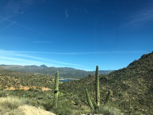 Bright blue sky above vibrant green Sonoran Desert plants, Bartlett Lake, and far away mountains