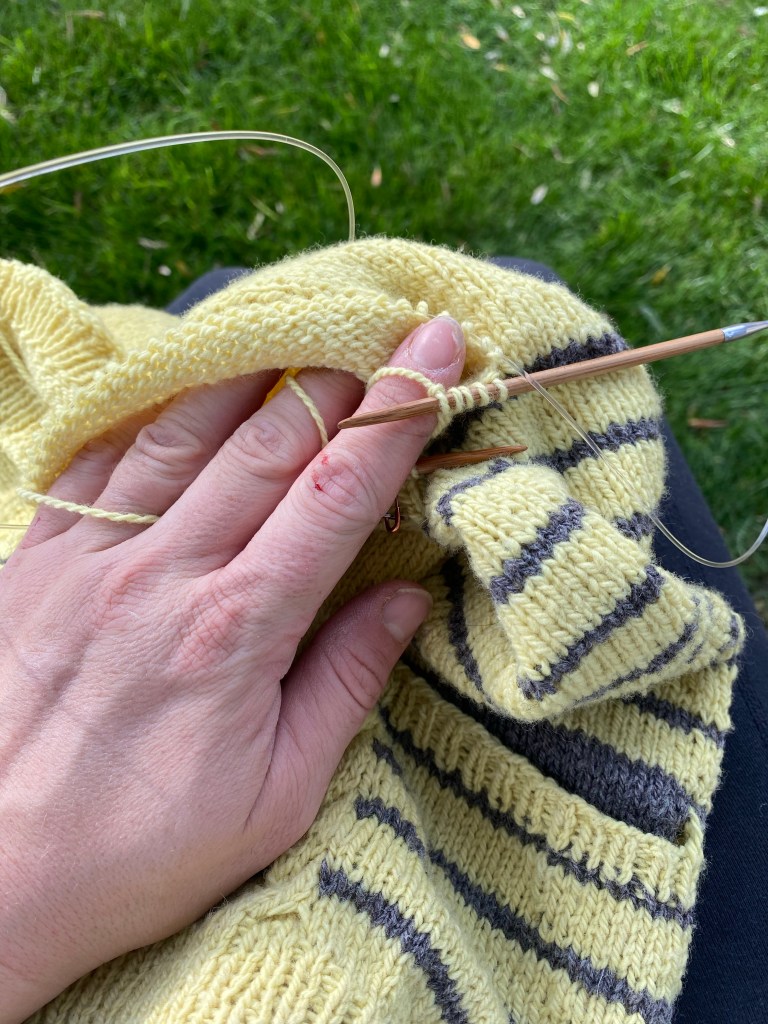 Busted up gardening knuckles with yarn tensioned and ready to knit on the sleeve of Peanut’s sweater. 